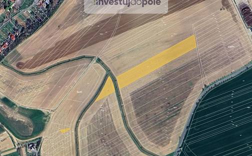Prodej pole 8 970 m², Kostelec, okres Hodonín