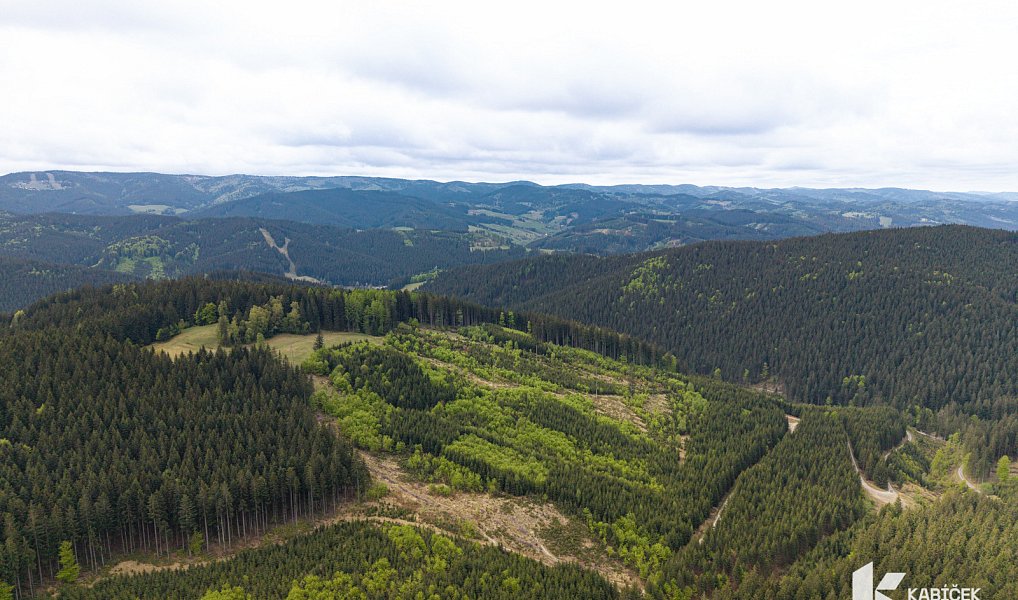Prodej chaty/chalupy 94 m² s pozemkem 934 m², Velké Karlovice – náhled fotky 23