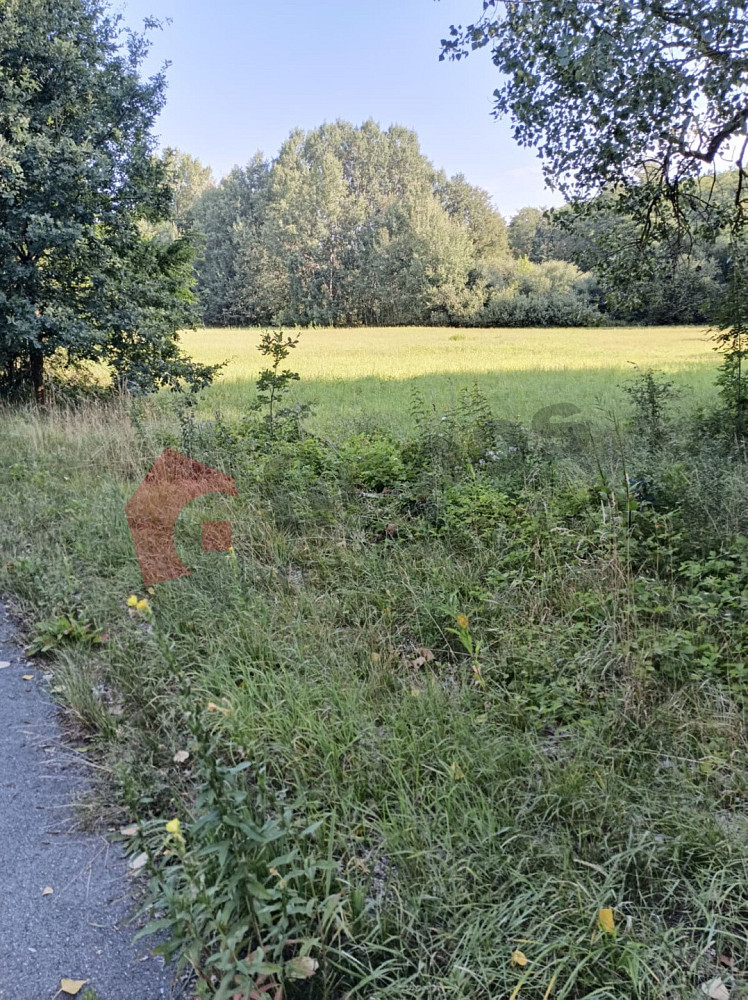 Prodej vodní plochy 23 278 m² – fotografie 4