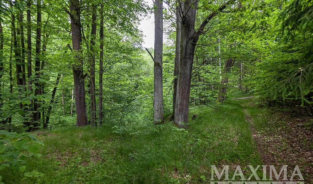 Prodej pole 14 573 m², Višňová – náhled fotky 9