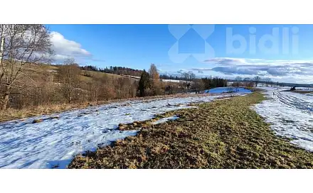 Prodej louky 3 998 m², Rudník, okres Trutnov