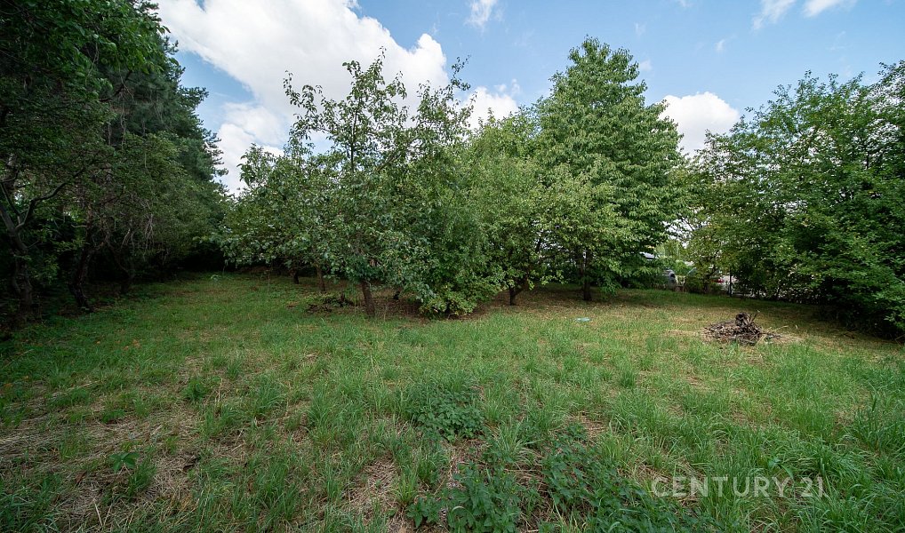 Prodej domu 145 m² s pozemkem 2 417 m², Radonice – náhled fotky 4