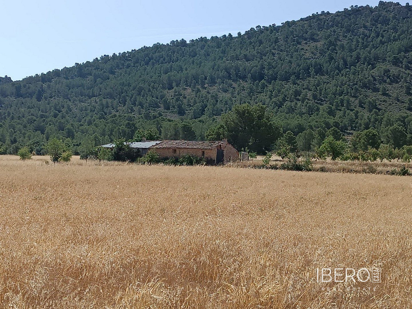 Prodej domu 185 m² s pozemkem 38 000 m² - Vista 3