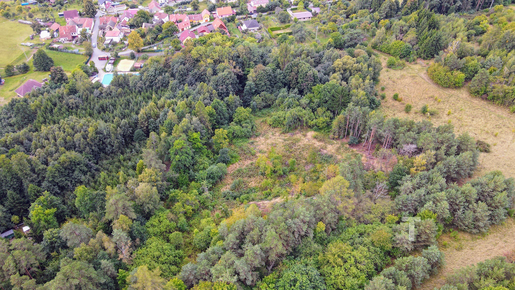 Prodej louky 10 775 m² – fotografie 3