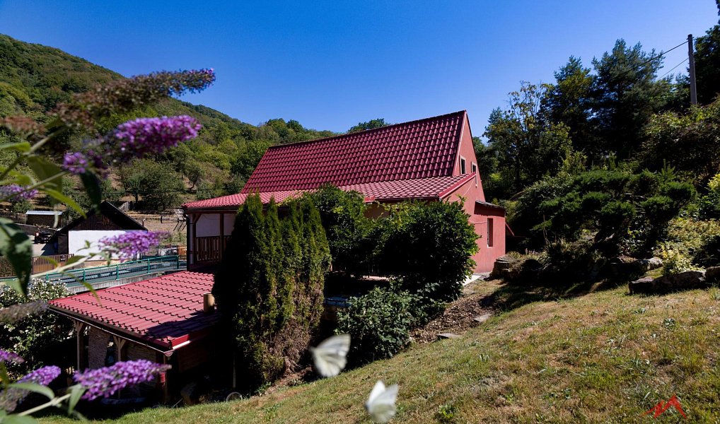 Prodej domu 120 m² s pozemkem 1 208 m², Těchlovice – náhled fotky 31