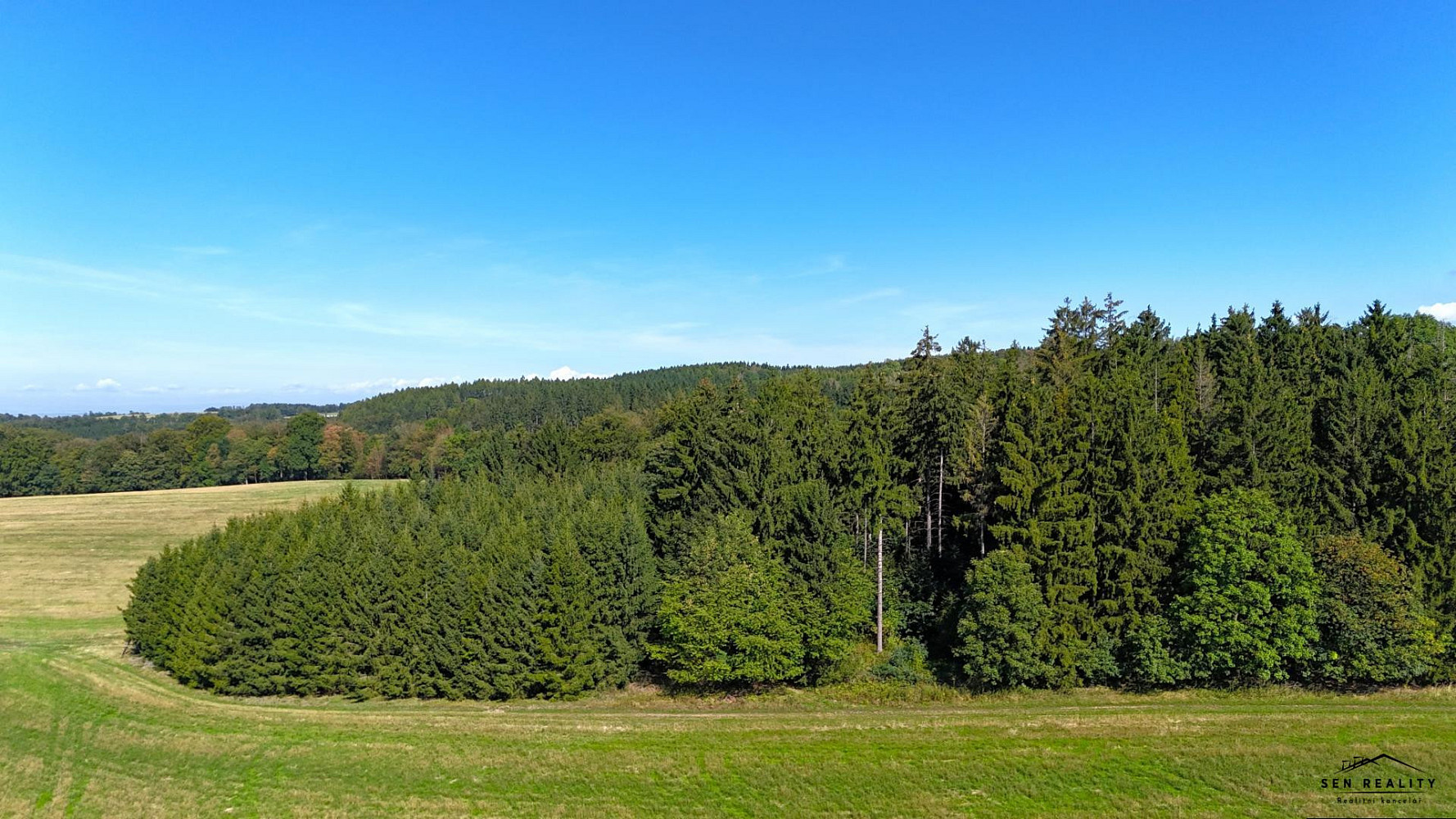 Prodej lesa 9 005 m²