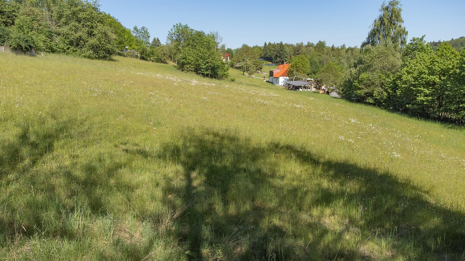 Fotka 12 z 16