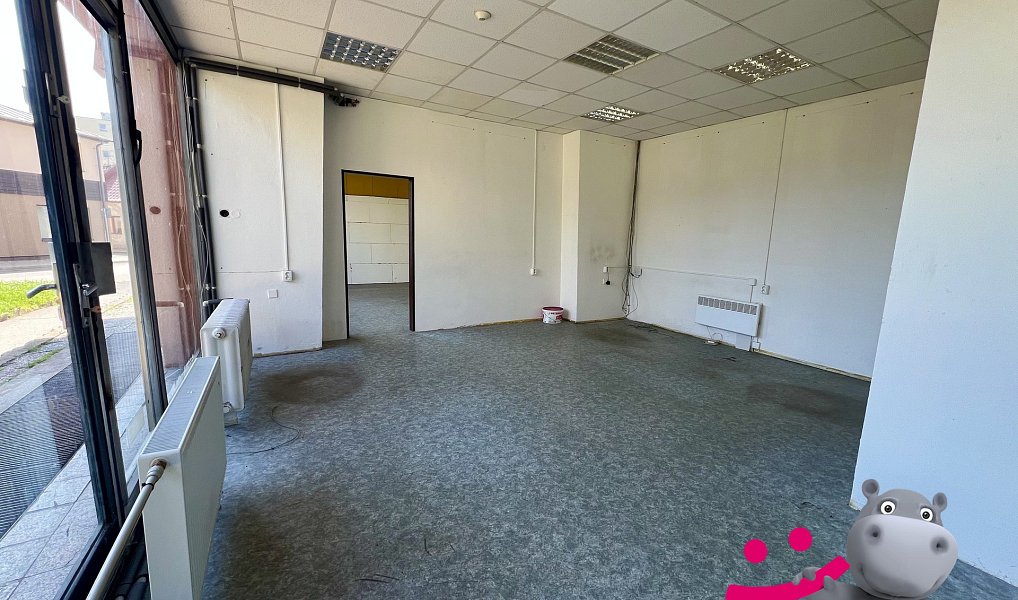 Prodej obchodních prostor 218 m², Kralupy nad Vltavou – náhled fotky 9