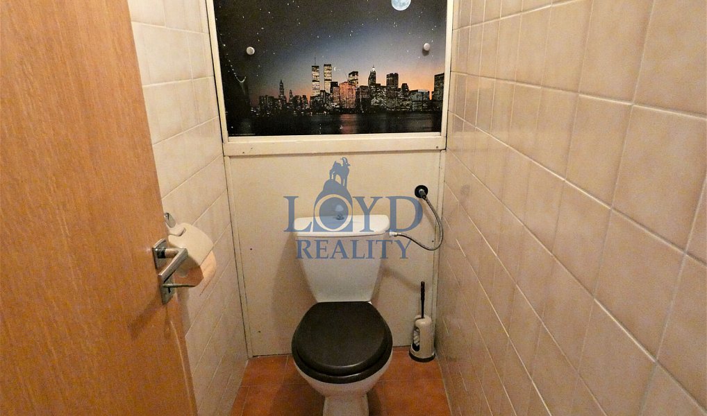 Pronájem bytu 1+1 40 m², Karlovy Vary – náhled fotky 10