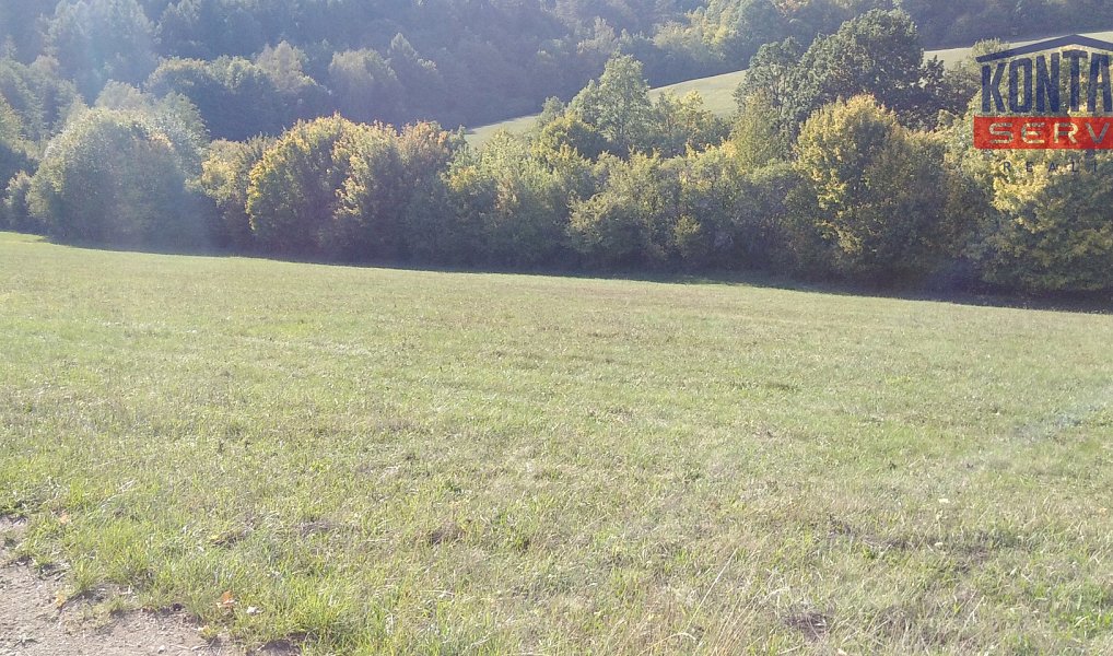 Prodej pole 9 092 m², Podkopná Lhota – náhled fotky 6