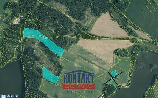 Prodej lesa 43 683 m², Střížovice - Vlčice, okres Jindřichův Hradec