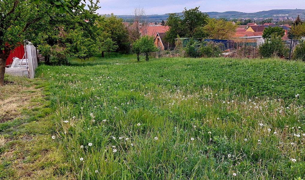Prodej stavebního pozemku 2 224 m², Perná – náhled fotky 4