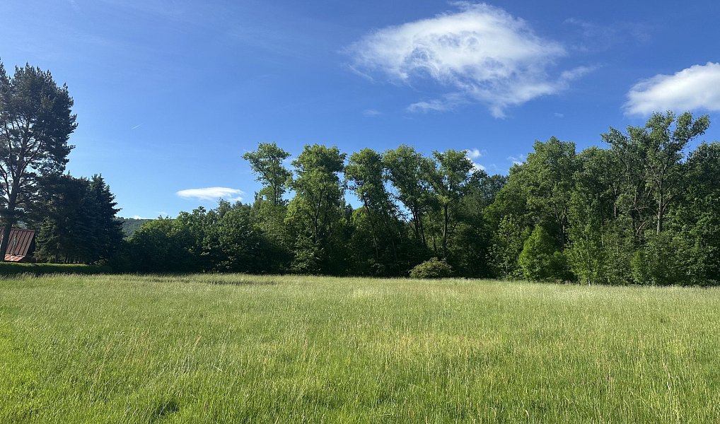 Prodej pozemku 37 713 m², Varnsdorf – náhled fotky 2