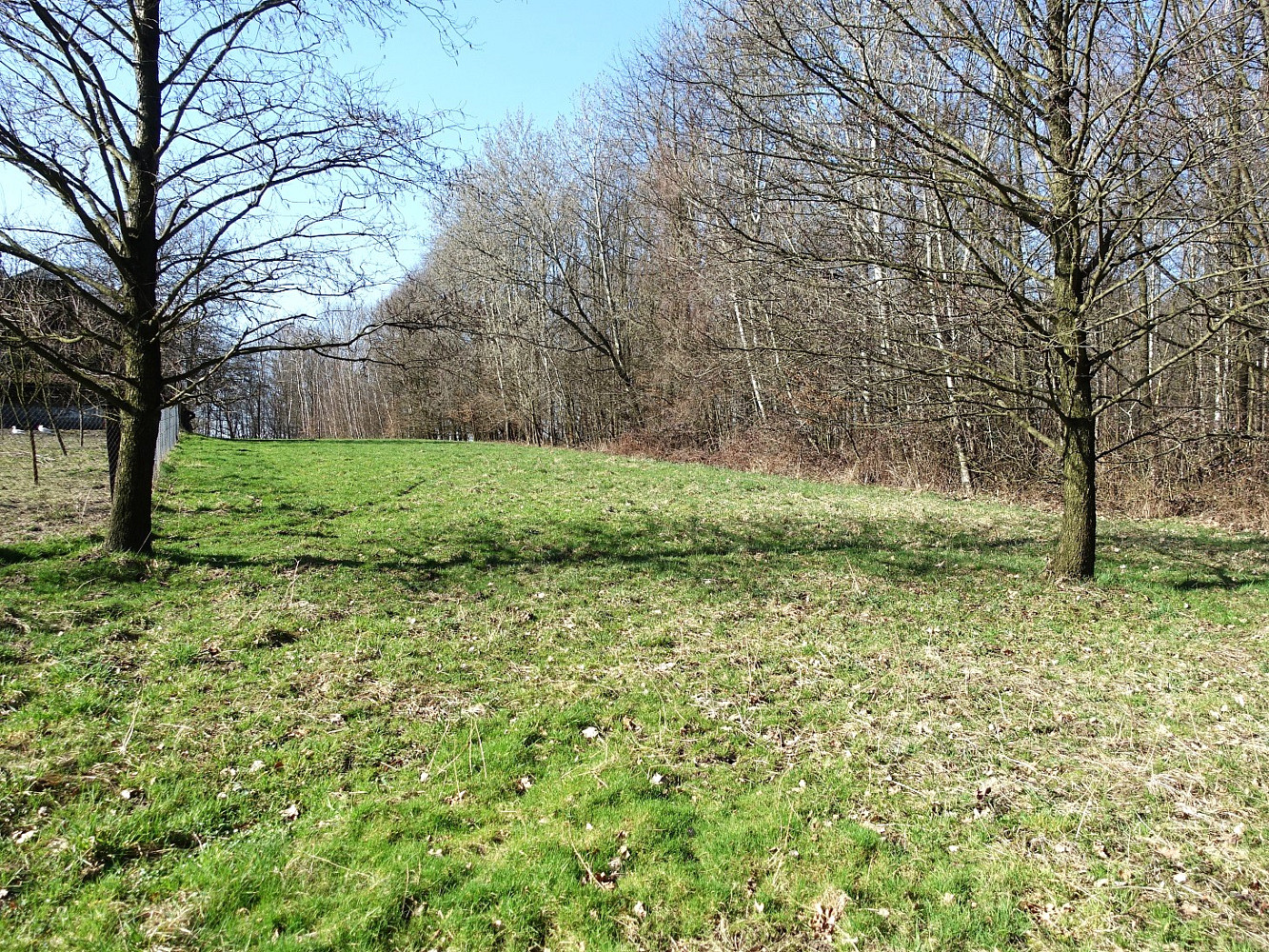Prodej louky 6 013 m²