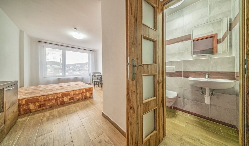 Pronájem bytu 1+kk 25 m², Ústí nad Labem – náhled fotky 2