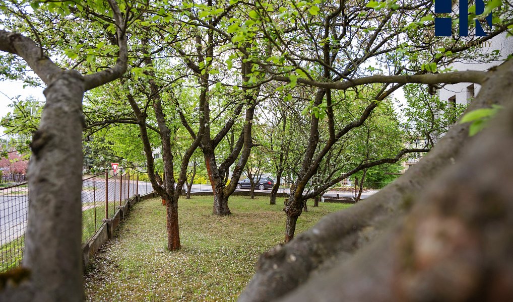 Prodej domu 231 m² s pozemkem 630 m², Pelhřimov – náhled fotky 13
