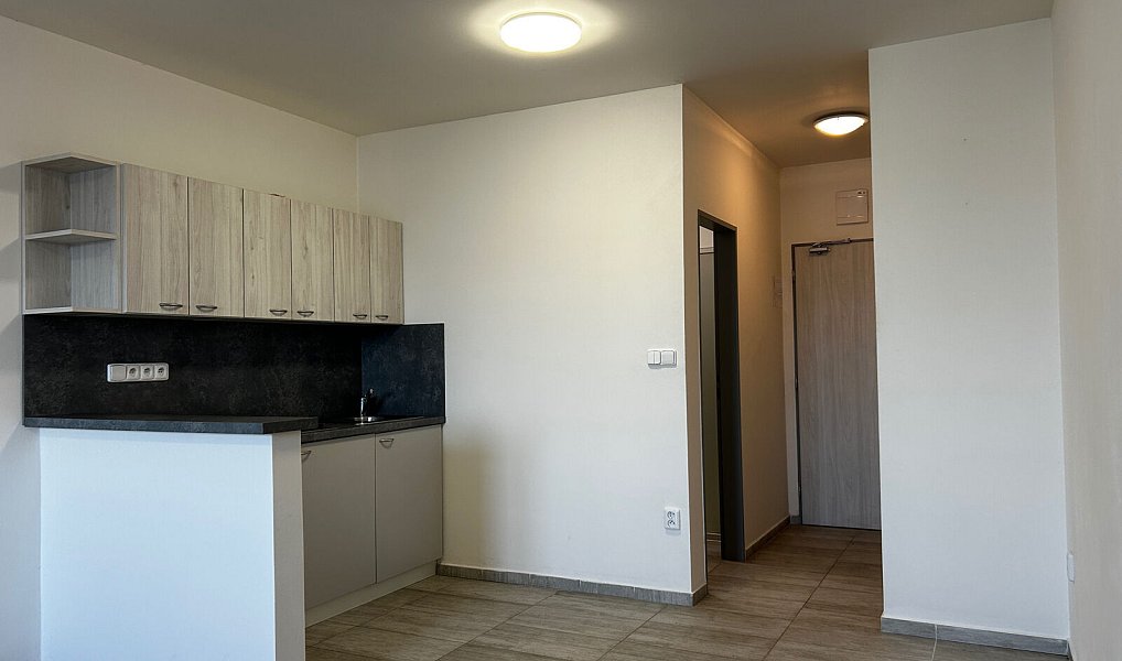 Pronájem bytu 1+kk 35 m², Pohořelice – náhled fotky 2