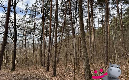 Prodej lesa 1 987 m², Vlachovice - Vrbětice, okres Zlín