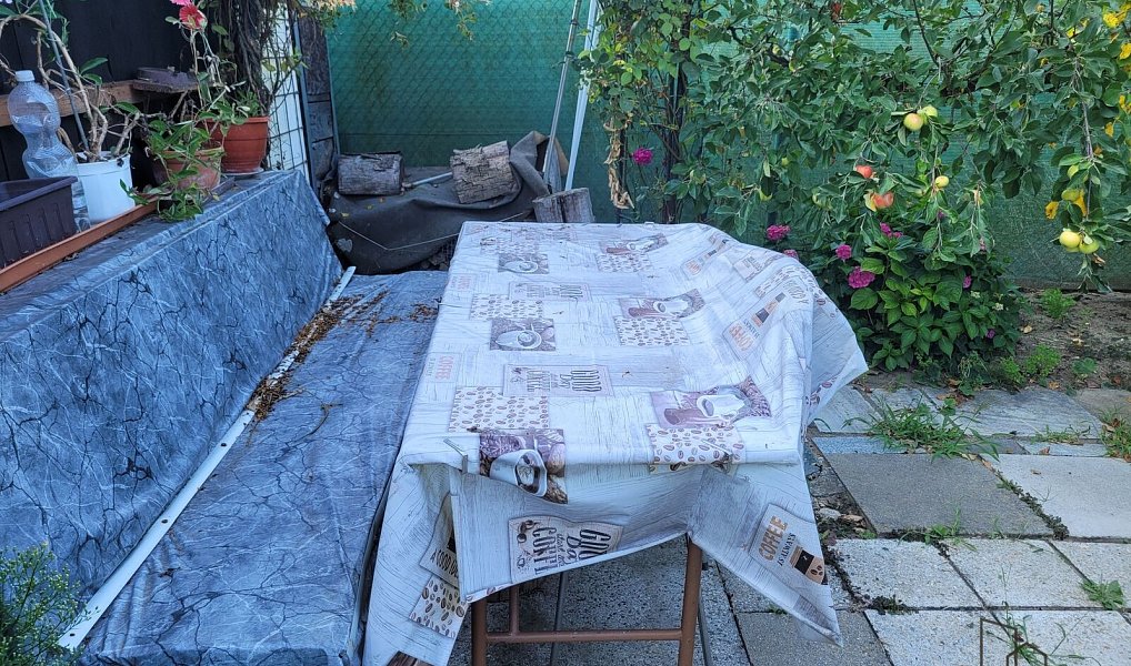 Prodej zahrady 200 m², Hulín – náhled fotky 8
