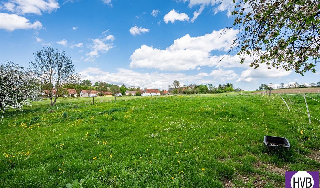 Prodej domu 130 m² s pozemkem 3 116 m², Kasejovice – náhled fotky 18