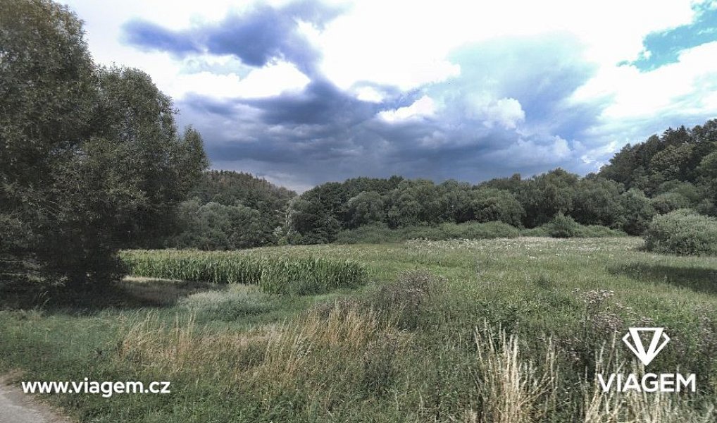 Prodej zahrady 2 074 m², Neveklov – náhled fotky 2