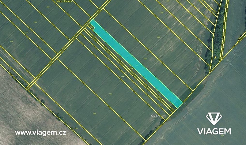 Prodej pole 511 m², Mutěnice – náhled fotky 3