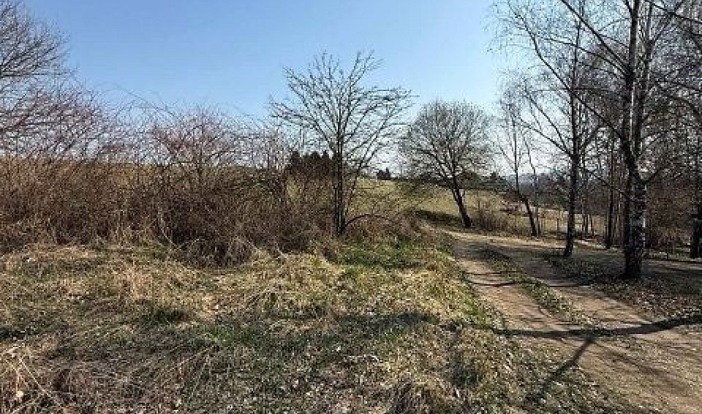 Prodej louky 651 m², Kostelec u Křížků – náhled fotky 10