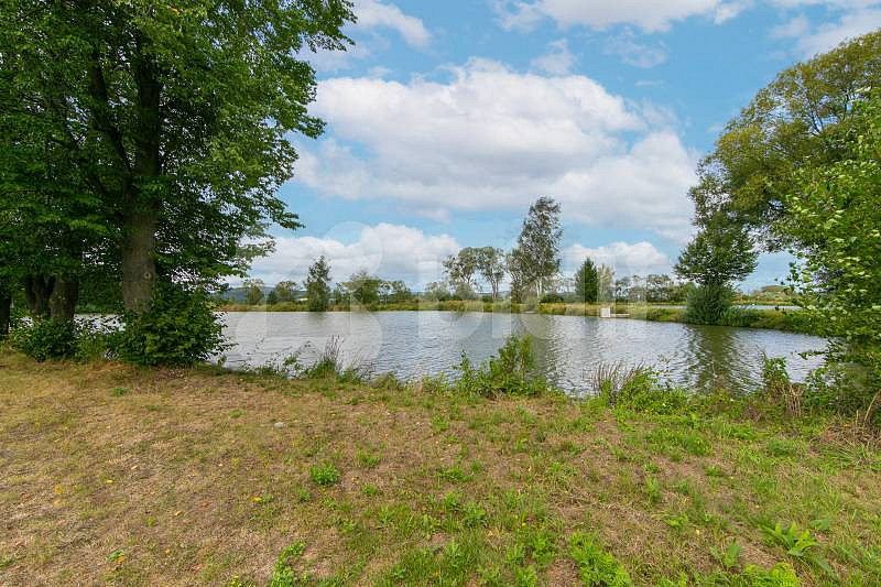 Prodej stavebního pozemku 2 990 m² — photo 4