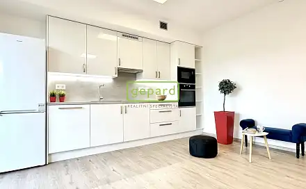 Pronájem bytu 1+kk 44 m²