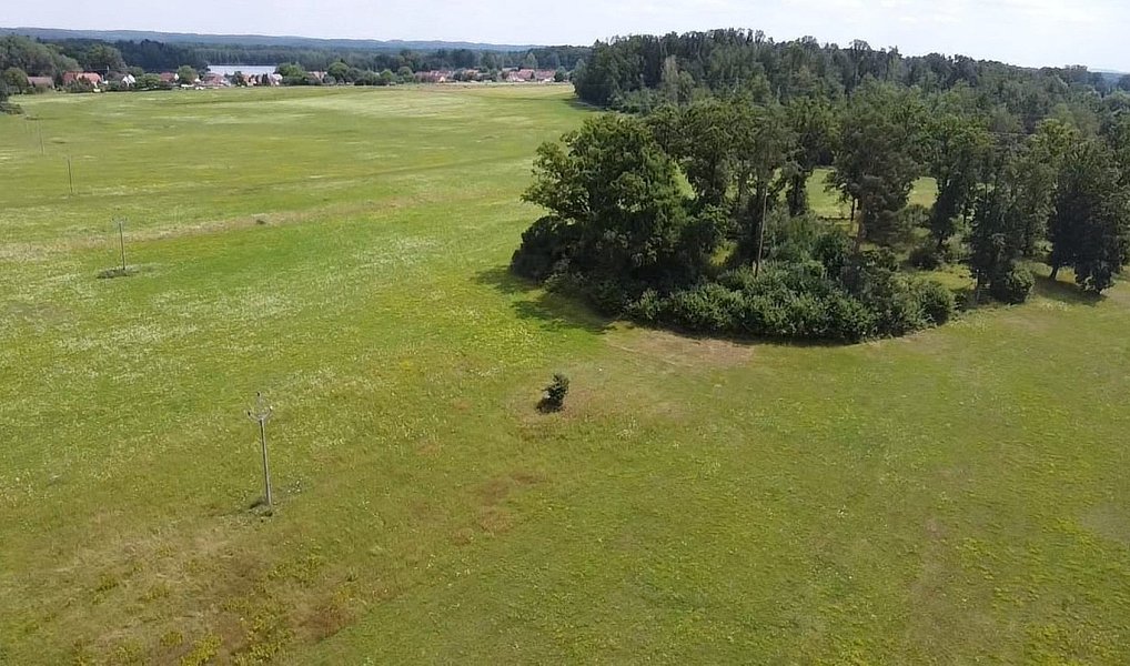 Prodej pole 130 000 m², Chlum u Třeboně – náhled fotky 10