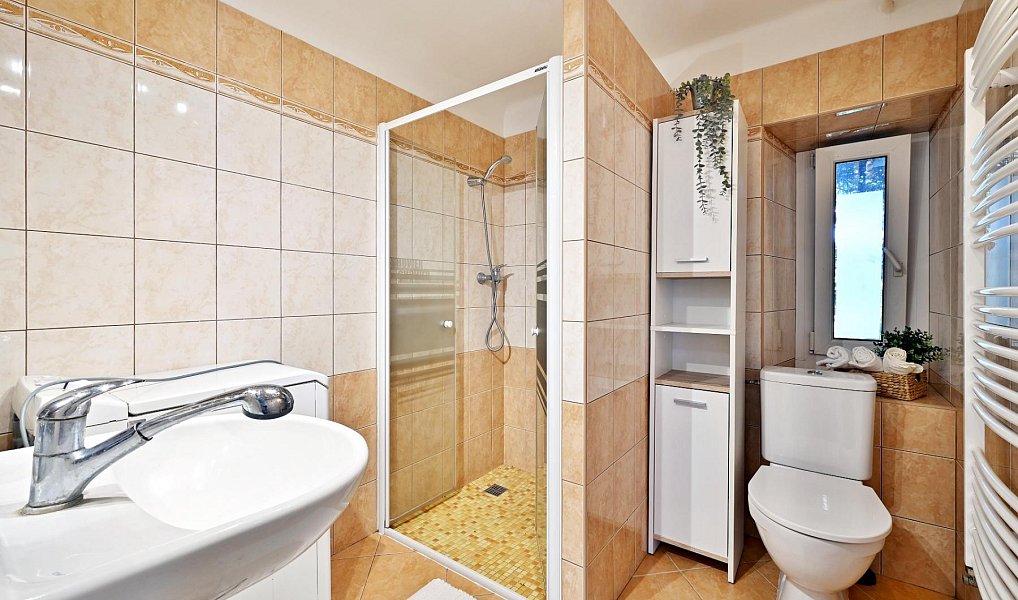 Prodej domu 250 m² s pozemkem 885 m², Milešov – náhled fotky 16