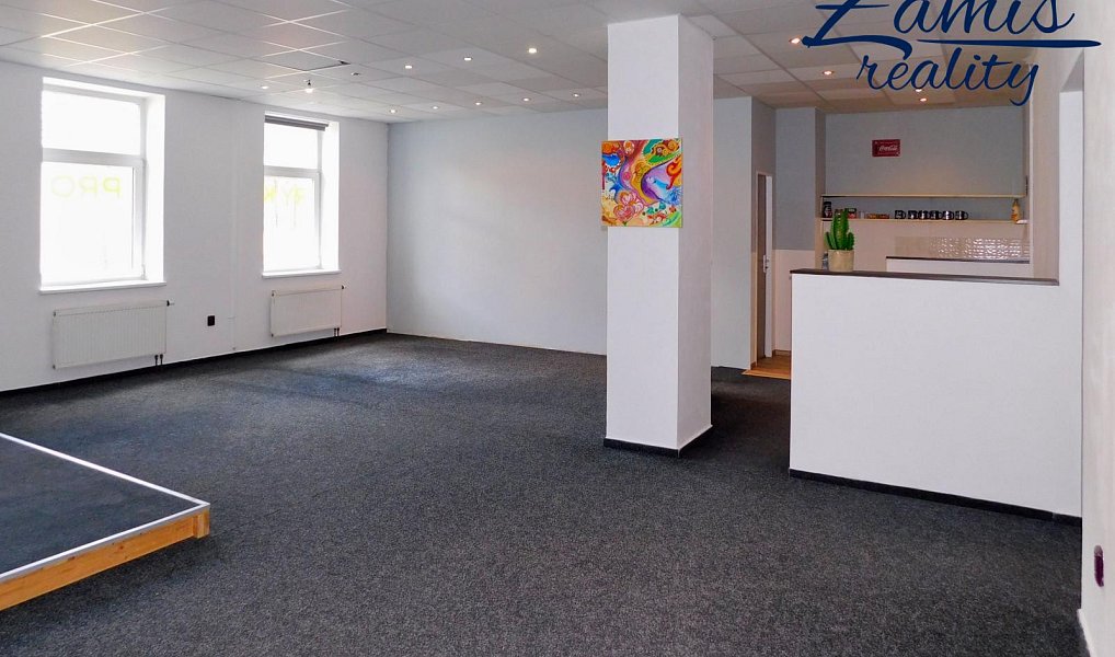 Prodej domu 400 m² s pozemkem 201 m², Kladno – náhled fotky 12