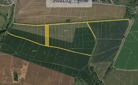 Prodej pole 3 602 m², Rasošky, okres Náchod