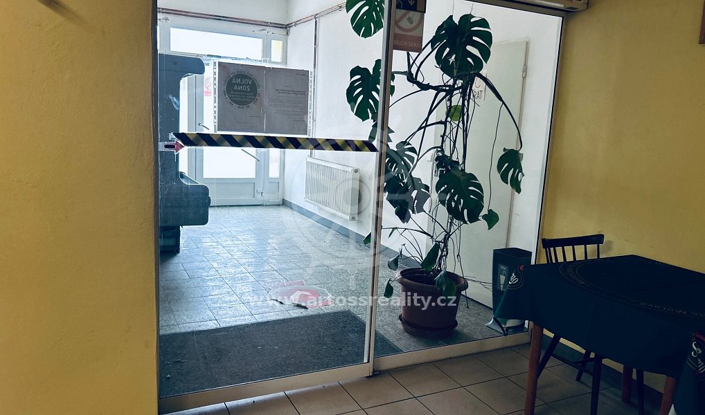 Prodej obchodních prostor 505 m², Prace – náhled fotky 13