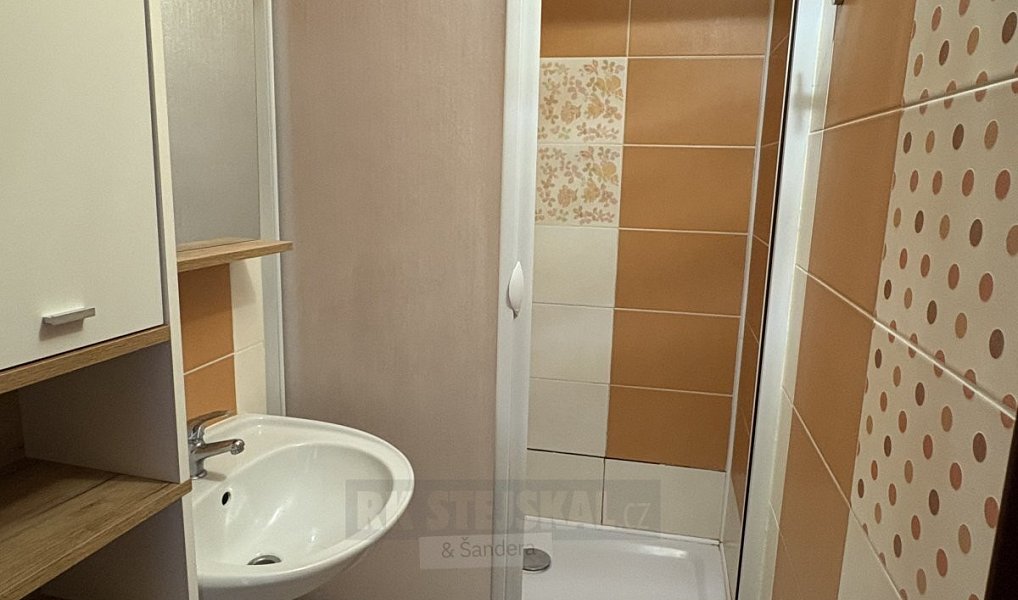 Pronájem bytu 2+kk 48 m², České Budějovice – náhled fotky 5