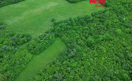 Prodej zahrady 1 690 m², Třebenice, okres Litoměřice