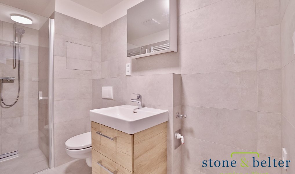 Pronájem bytu 1+kk 31 m², Praha – náhled fotky 3