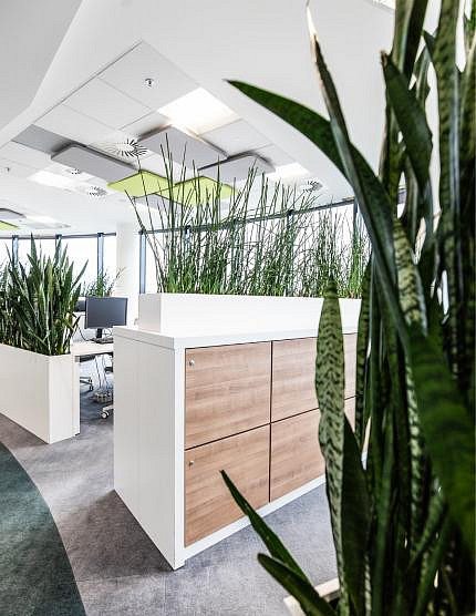 Pronájem kanceláře 902 m² – fotografie 5