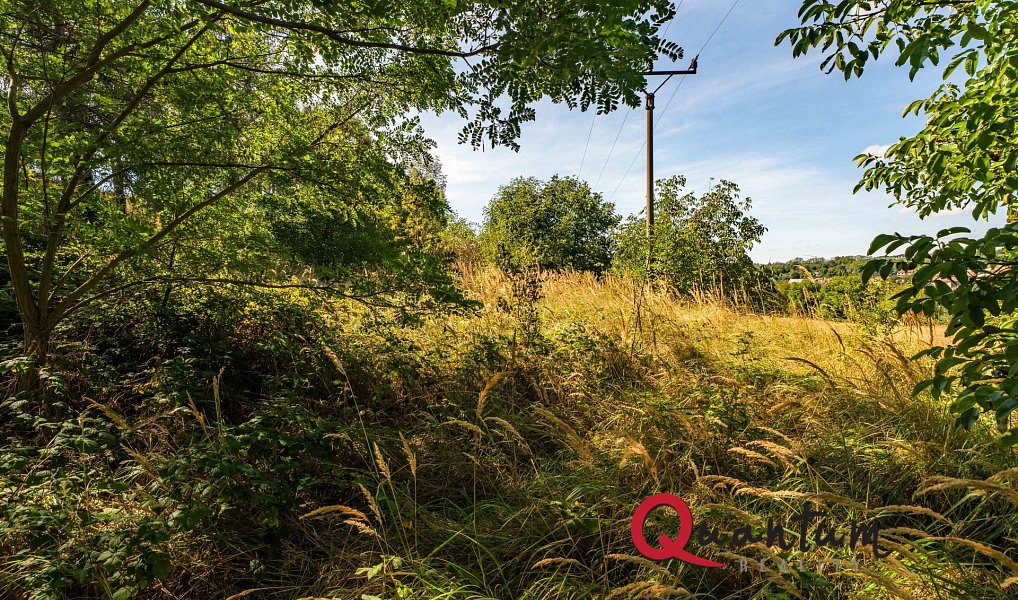 Prodej stavebního pozemku 16 339 m², Brandýsek – náhled fotky 50