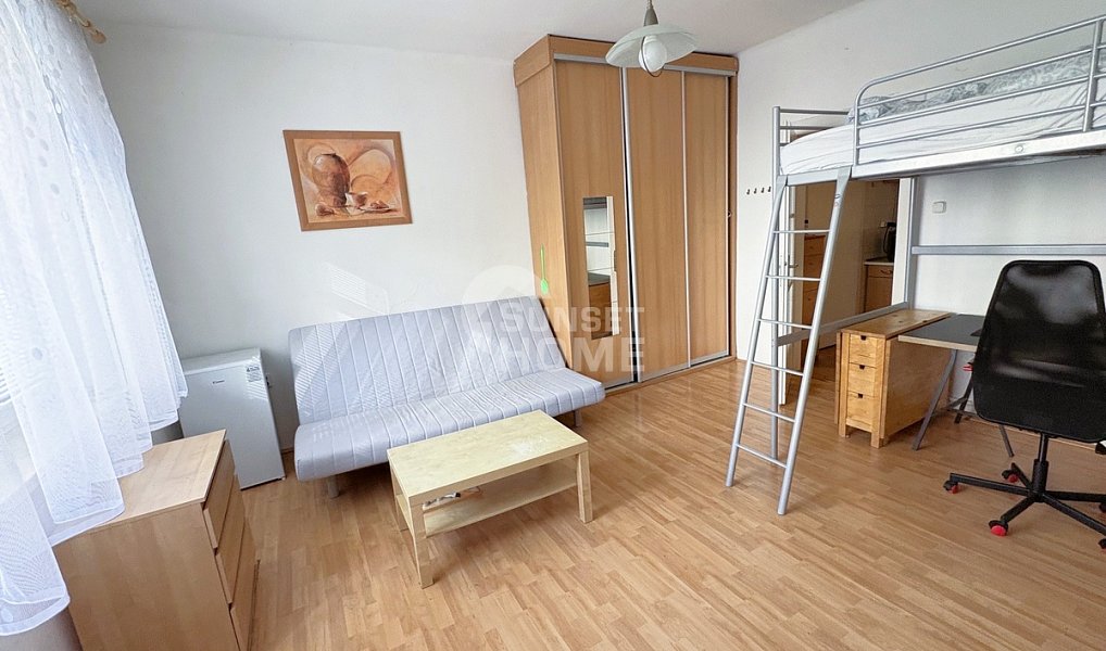 Pronájem bytu 1+kk 30 m², Praha – náhled fotky 5