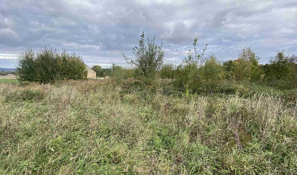 Prodej stavebního pozemku 1 651 m², Javorník – náhled fotky 2