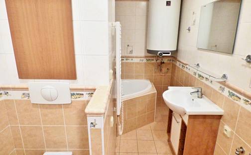 Pronájem bytu 2+1 55 m², Hornická, Roudnice nad Labem, okres Litoměřice