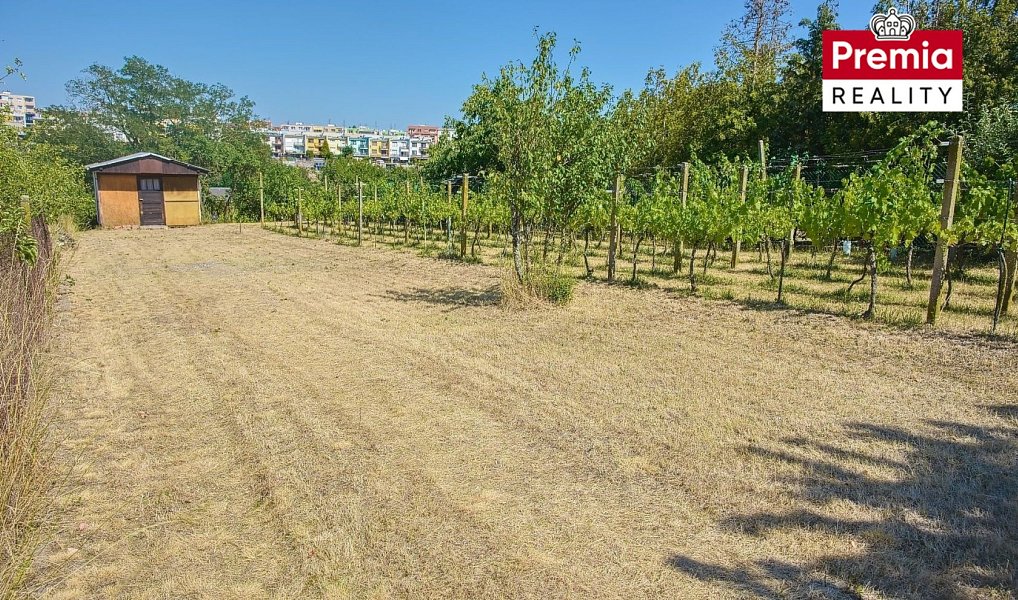 Prodej zahrady 903 m², Nový Šaldorf-Sedlešovice – náhled fotky 11