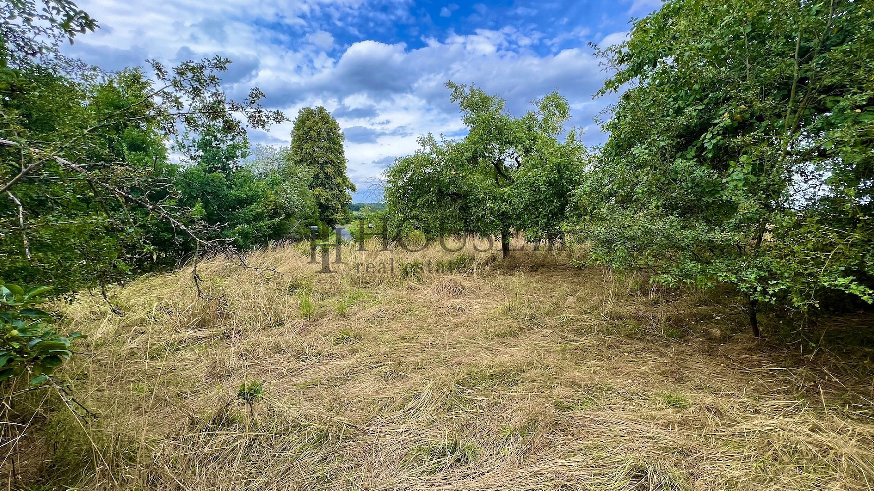 Prodej stavebního pozemku 2 410 m² – fotografie 3