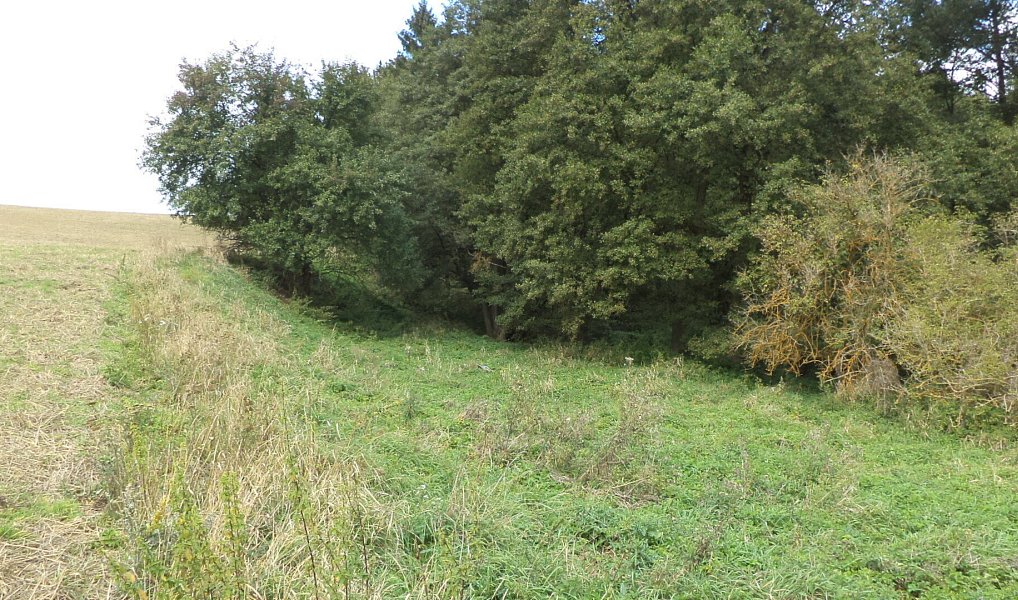 Prodej pole 58 887 m², Tachov – náhled fotky 2