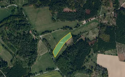 Prodej pole 4 812 m², Kaliště - Podivice, okres Pelhřimov