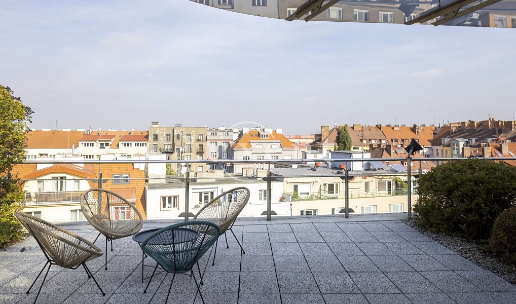 Pronájem kanceláře 292 m², Praha – náhled fotky 10