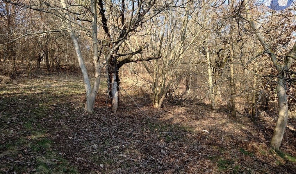 Prodej pozemku 1 999 m², Vlachovo Březí – náhled fotky 6