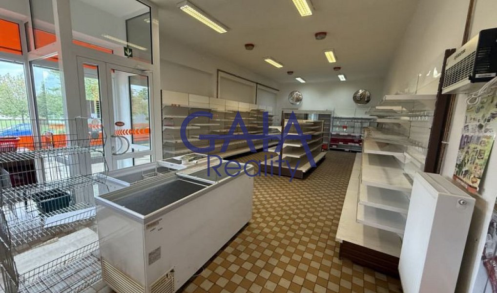 Prodej obchodních prostor 268 m², Dešná – náhled fotky 2