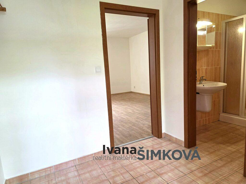 Pronájem bytu 1+kk 32 m² — photo 4